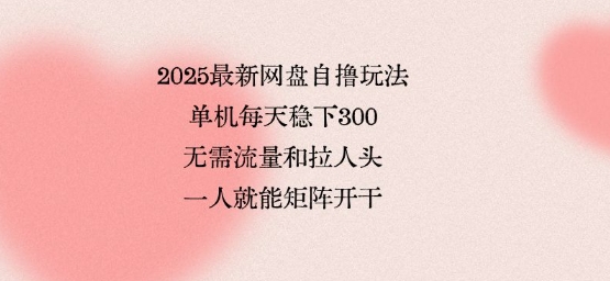 2025最新网盘自撸玩法，单机每天稳下3张，无需流量和拉人头，一个人就可轻松矩阵，全网独一份【揭秘】-轻资本网