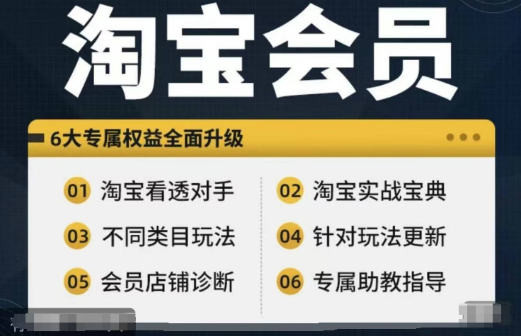 淘宝会员【淘宝所有课程，全面分析对手】，初级到高手全系实战宝典-轻资本网