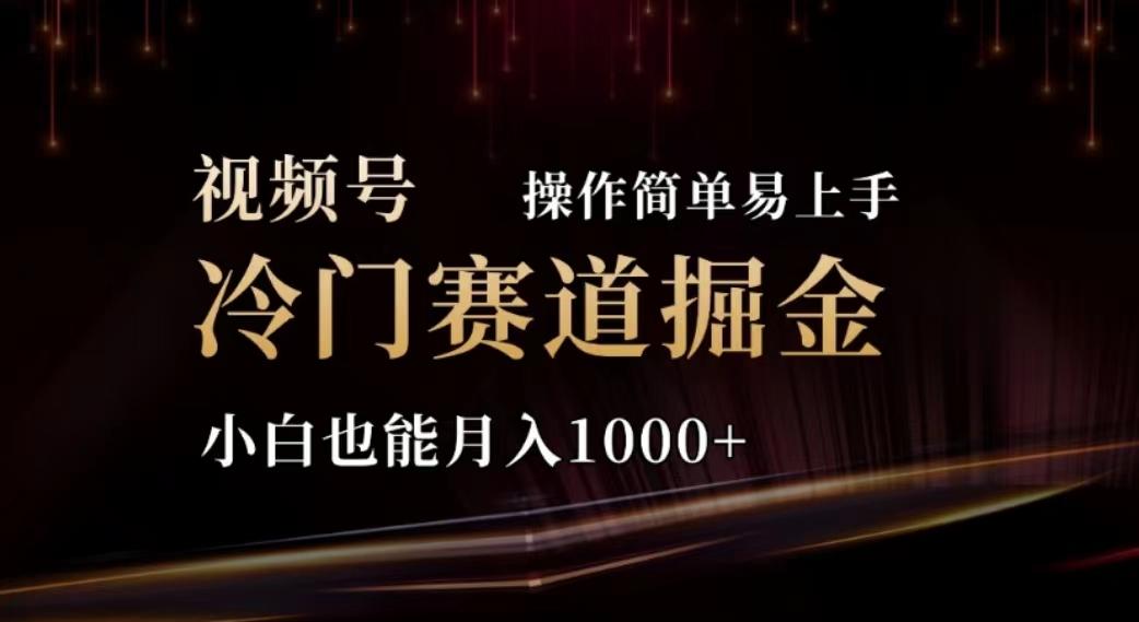 2024视频号冷门赛道掘金，操作简单轻松上手，小白也能月入1000+-轻资本网