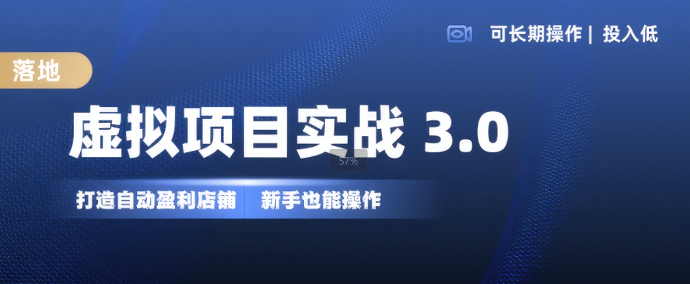 虚拟项目实战3.0，打造自动盈利店铺，可长期操作投入低，新手也能操作-轻资本网