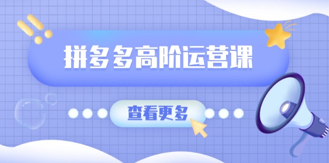 拼多多高阶运营课：极致群爆款玩法，轻付费无尽复制，打造单品爆款之路-轻资本网