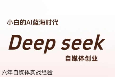 冰冰老师·普通人如何利用Deepseek创业-轻资本网