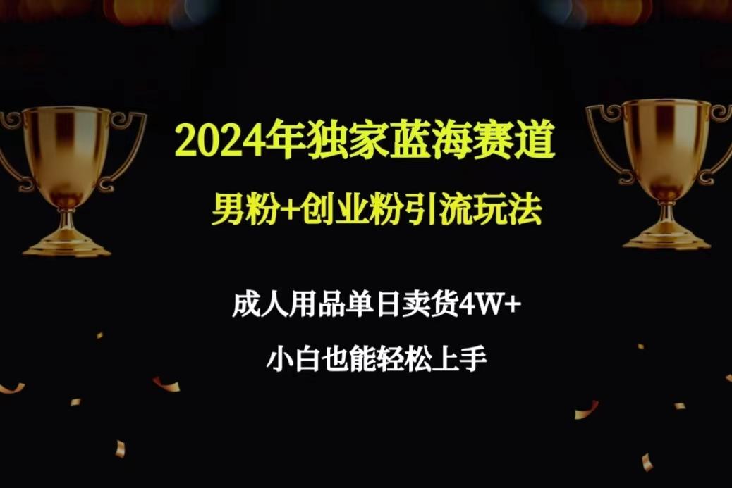 2024年独家蓝海赛道男粉+创业粉引流玩法，成人用品单日卖货4W+保姆教程-轻资本网