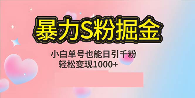 单人单机日引千粉，变现1000+，S粉流量掘金计划攻略-轻资本网