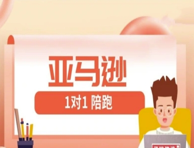 亚马逊1对1陪跑课(FBA/FBM精铺)跨境亚马逊教程-轻资本网