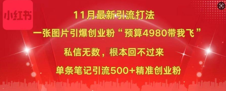 小红书11月最新图片打粉，一张图片引爆创业粉，“预算4980带我飞”，单条引流500+精准创业粉-轻资本网