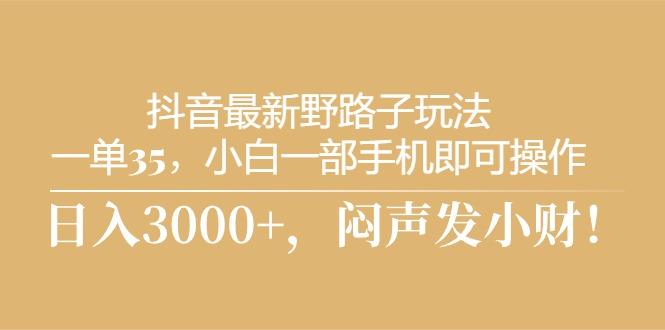 抖音最新野路子玩法，一单35，小白一部手机即可操作，，日入3000+，闷…-轻资本网