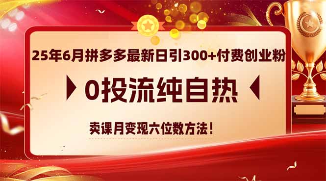 25年6月拼多多最新日引300+付费创业粉，0投流纯自热 卖课月变现六位数方法-轻资本网