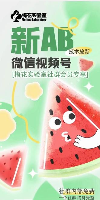 梅花实验室2024年AB技术视频号AB合成破解版-轻资本网