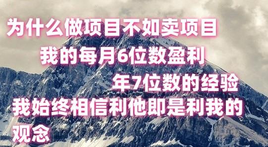 做项目不如卖项目，每月6位数盈利，年7位数经验-轻资本网