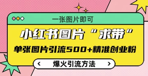 小红书图片‘求带’爆火引流法，单张图片引流500+精准创业粉【揭秘】-轻资本网