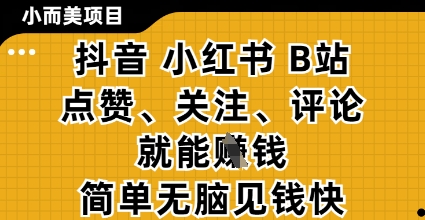 小而美的项目，抖音小红书B站视频点赞、关注、评论就能挣钱，简单无脑立见收益，妥妥的零撸项目【揭秘】-轻资本网