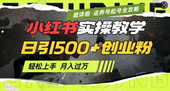2月小红书最新日引500+创业粉实操教学【超详细】小白轻松上手，月入1W+，附小红书养号起号SOP-轻资本网