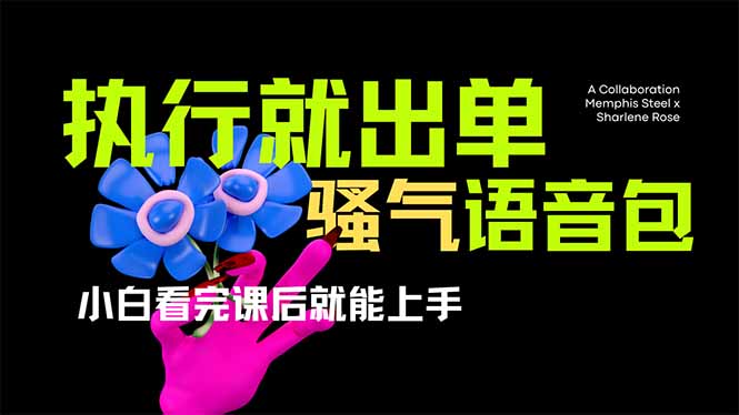 爆火全网的开车导航骚气语音包,只要执行就出单，小白看完课程就能实操…-轻资本网