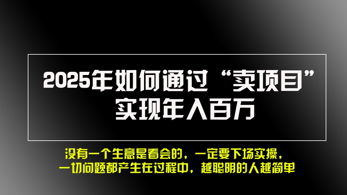 2025年如何通过“卖项目”实现年入百万-轻资本网