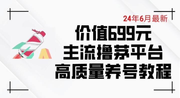 6月最新价值699的主流撸茅台平台精品养号下车攻略【揭秘】-轻资本网