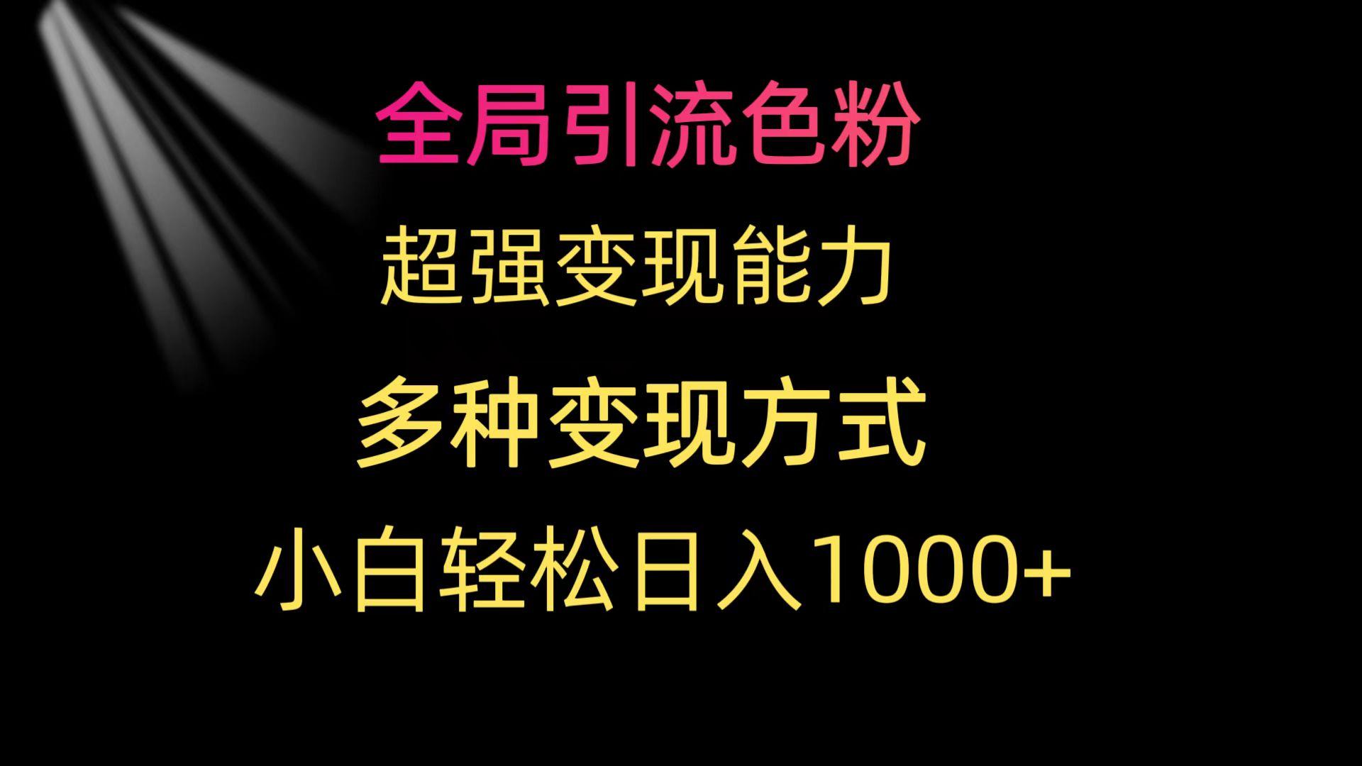 (9680期)全局引流色粉 超强变现能力 多种变现方式 小白轻松日入1000+-轻资本网