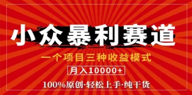 视频号最新爆火赛道，三种可收益模式，0粉新号条条原创条条热门 日入1000+-轻资本网