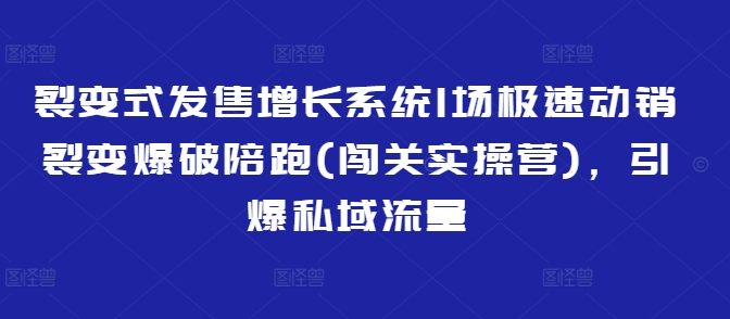 裂变式发售增长系统1场极速动销裂变爆破陪跑(闯关实操营)，引爆私域流量-轻资本网