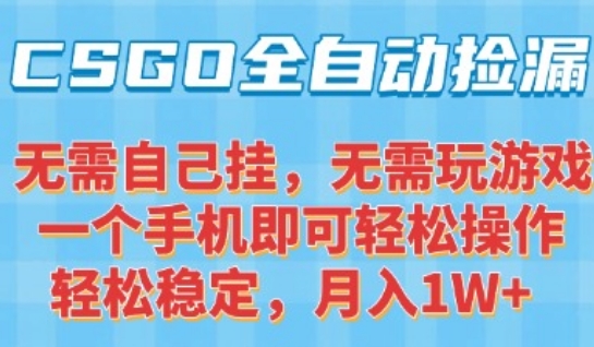 CSGO自动捡漏项目，最新独家玩法，一个手机可操作，新手小白轻松月入1W+，操作简单易上手【揭秘】-轻资本网
