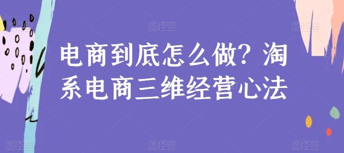 电商到底怎么做？淘系电商三维经营心法-轻资本网