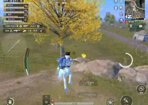 和平精英上色-强锁自瞄-轻资本网