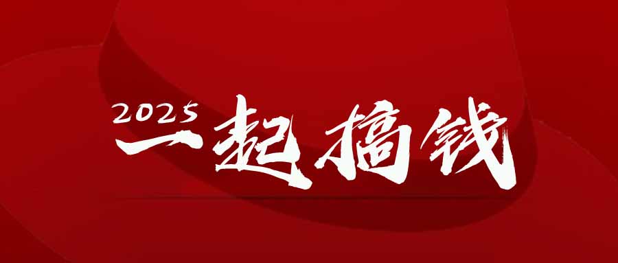 2025年，请“不择手段”去搞钱!-轻资本网