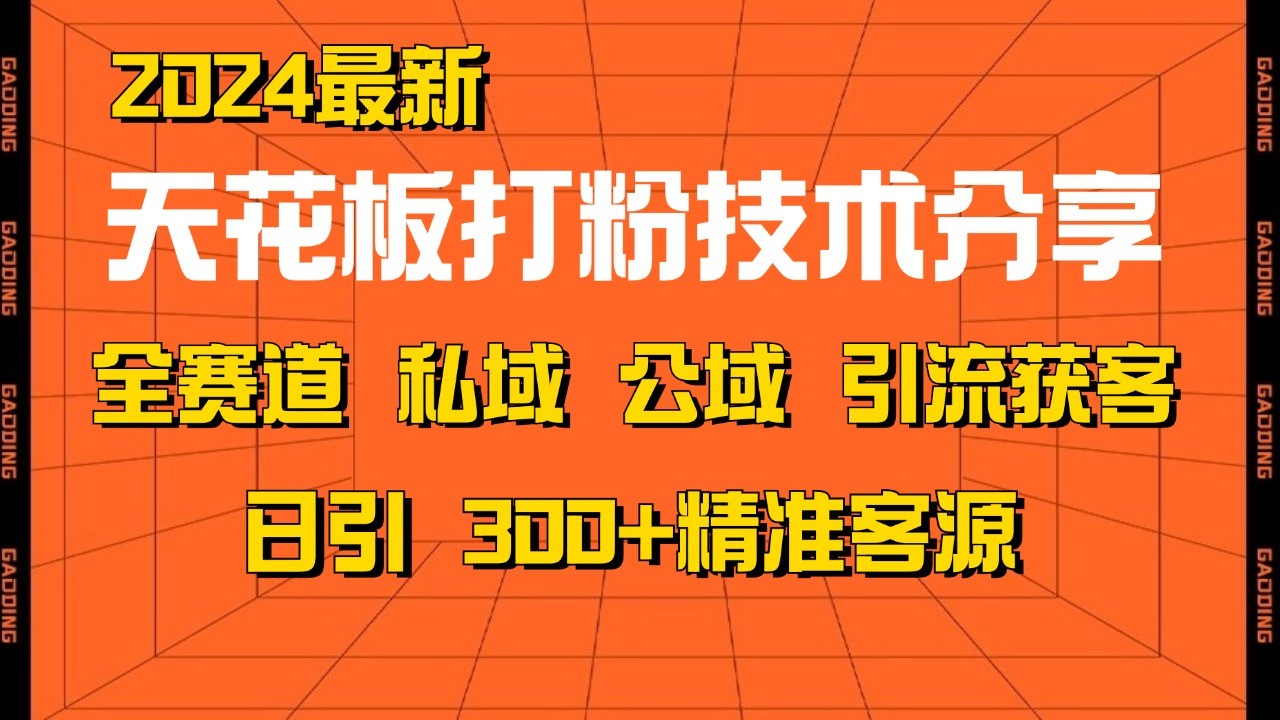 天花板打粉技术分享，野路子玩法 曝光玩法免费矩阵自热技术日引2000+精准客户-轻资本网