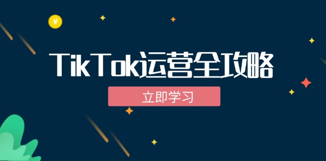 TikTok实战运营全攻略：从下载软件到变现，抖音海外版实操教程-轻资本网