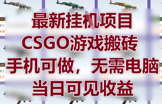 最新挂G项目，CSGO游戏搬砖，手机可做，无需电脑，当日见收益【揭秘】-轻资本网