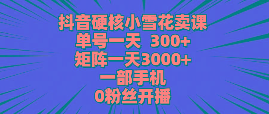 (9551期)抖音硬核小雪花卖课，单号一天300+，矩阵一天3000+，一部手机0粉丝开播-轻资本网