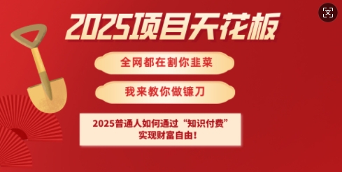 2025项目天花板普通人如何通过知识付费，实现财F自由【揭秘】-轻资本网