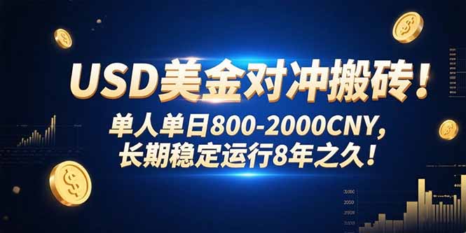 USD美金对冲搬砖!单人单日800-2000CNY，长期稳定运行8年之久!-轻资本网